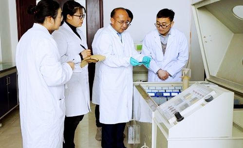 甘肃科技集团 以技术开发为引擎，全力打造科创新高地，培育新质生产力