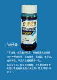 山东潍坊登峰有机农药技术开发 展厅中的科技与绿色融合