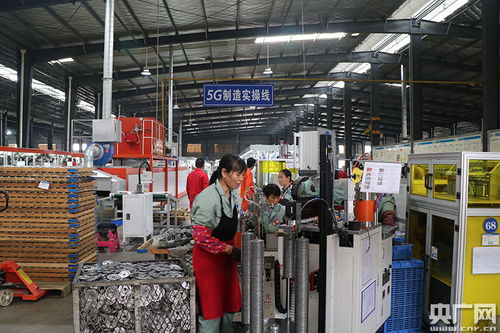 江西数字新余系列报道之三 数字技术开发带动新余腾飞